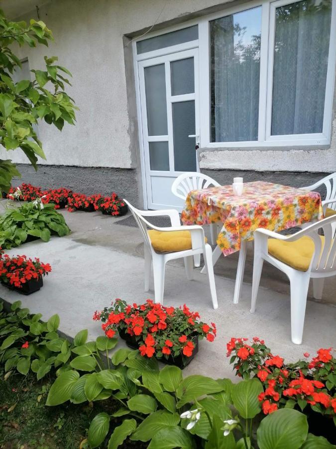 Pavicevic Apartment Soko Banja Exterior photo