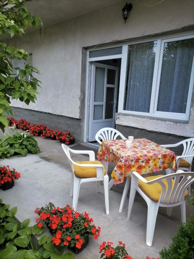 Pavicevic Apartment Soko Banja Exterior photo