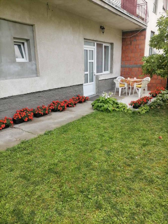 Pavicevic Apartment Soko Banja Exterior photo